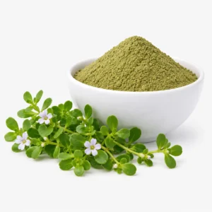 Brahmi Orgânico em Pó (Bacopa Monnieri)