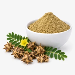 Gokshura (Tribulus terrestris) Orgânico em Pó