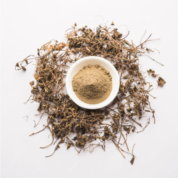 Bhringaraj Orgânico em Pó