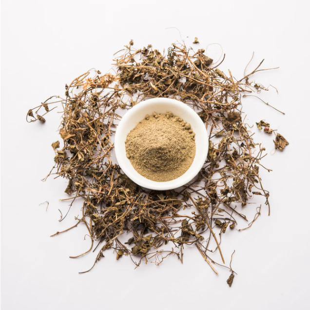 Bhringaraj Orgânico em Pó