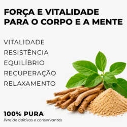 BENEFÍCIOS DA ASHWAGANDHA